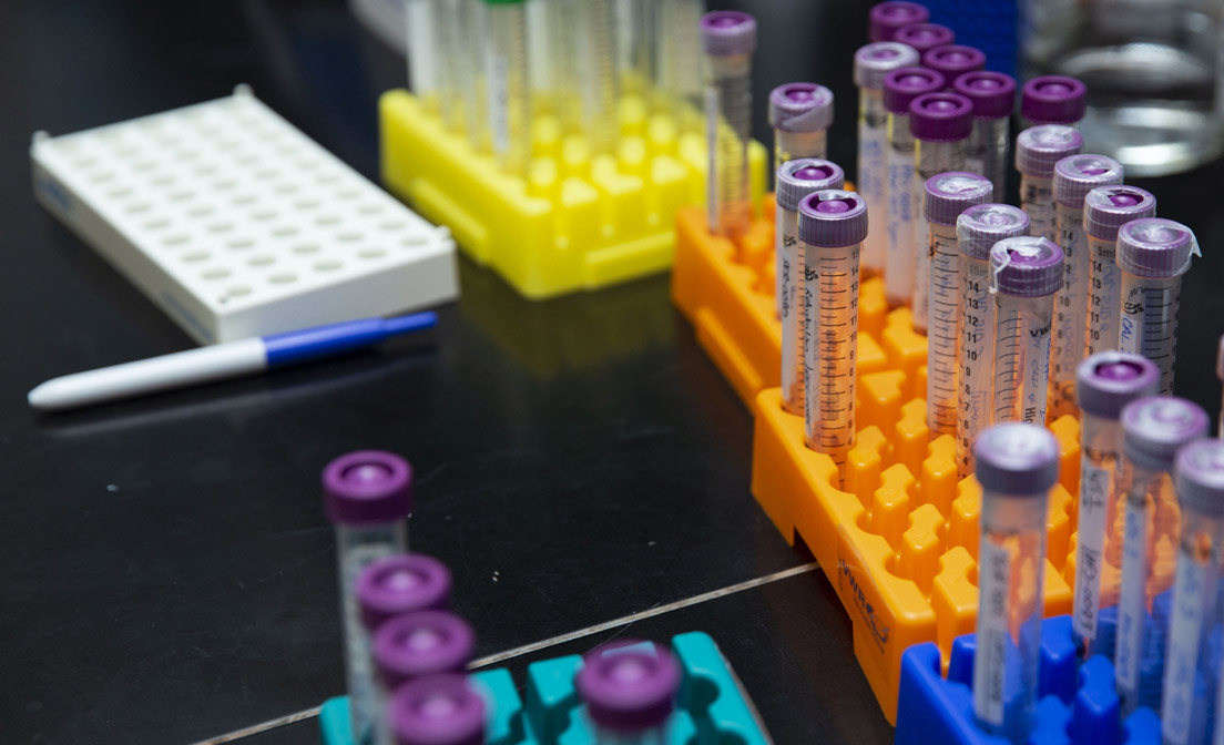 对甲氧基苯甲酸